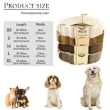 Coleira de cachorro personalizada de veludo, gravura de nome personalizado, etiqueta de identificação de número de telefone, coleiras ajustáveis macias e confortáveis para pequenas e médias, 1 peça