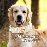 Coleira de cachorro personalizada de veludo, gravura de nome personalizado, etiqueta de identificação de número de telefone, coleiras ajustáveis macias e confortáveis para pequenas e médias, 1 peça