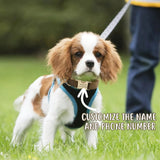 Coleira de cachorro personalizada de veludo, gravura de nome personalizado, etiqueta de identificação de número de telefone, coleiras ajustáveis macias e confortáveis para pequenas e médias, 1 peça